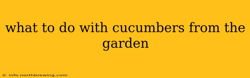 what to do with cucumbers from the garden