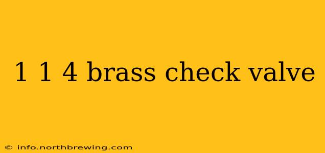 1 1 4 brass check valve