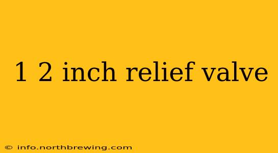 1 2 inch relief valve