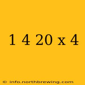 1 4 20 x 4