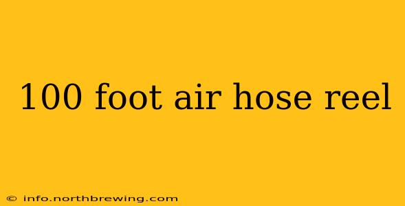 100 foot air hose reel