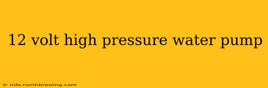 12 volt high pressure water pump