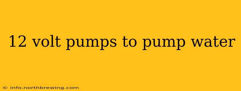 12 volt pumps to pump water