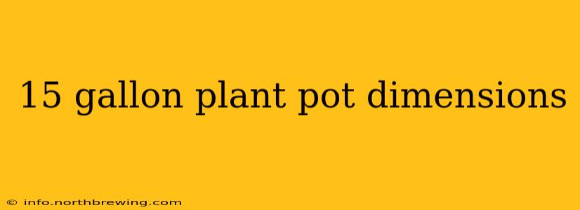 15 gallon plant pot dimensions
