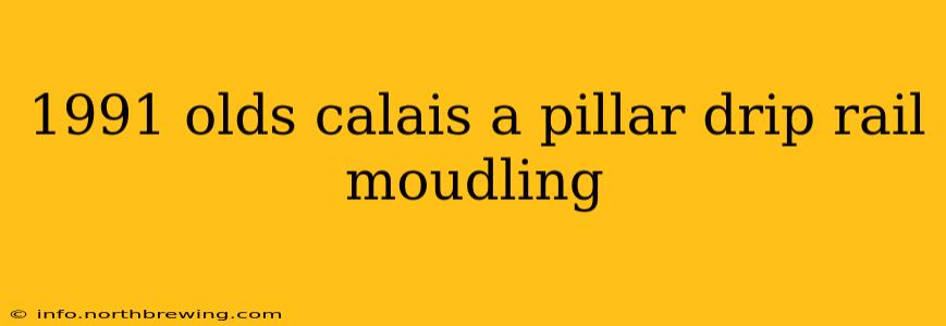 1991 olds calais a pillar drip rail moudling