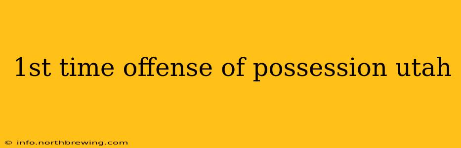 1st time offense of possession utah