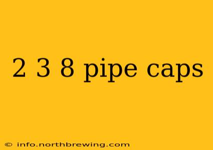 2 3 8 pipe caps