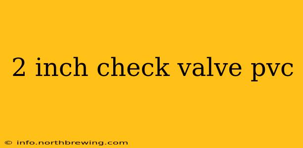 2 inch check valve pvc