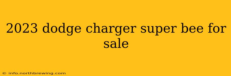 2023 dodge charger super bee for sale