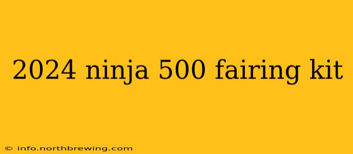 2024 ninja 500 fairing kit