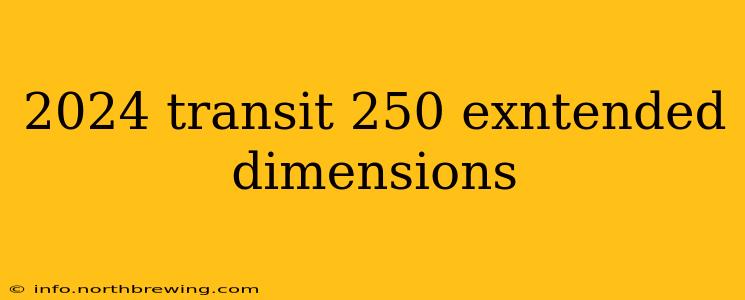 2024 transit 250 exntended dimensions