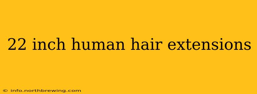 22 inch human hair extensions