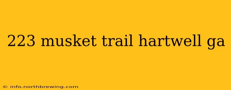 223 musket trail hartwell ga