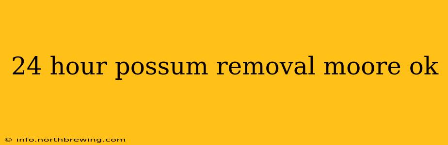 24 hour possum removal moore ok