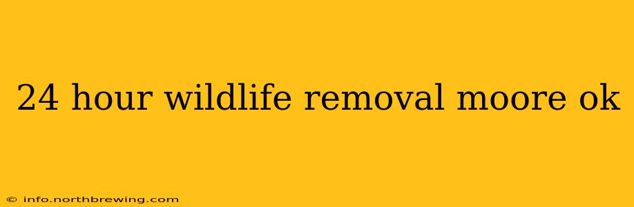 24 hour wildlife removal moore ok