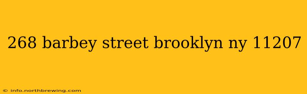 268 barbey street brooklyn ny 11207