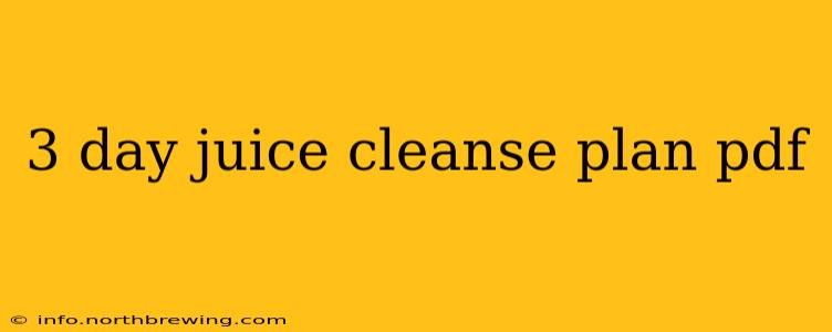 3 day juice cleanse plan pdf