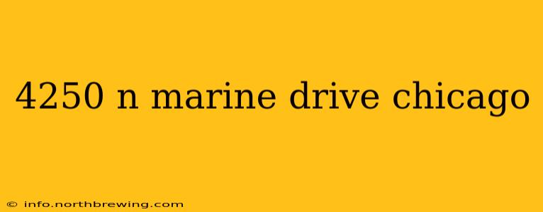 4250 n marine drive chicago