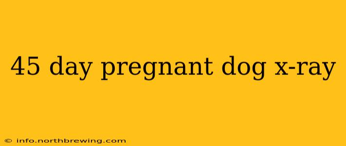 45 day pregnant dog x-ray