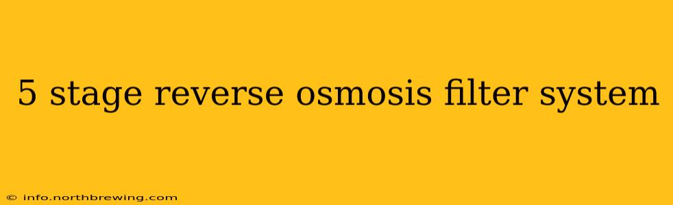 5 stage reverse osmosis filter system