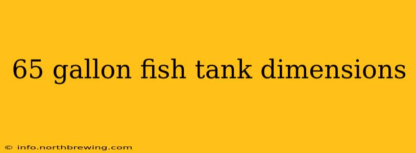 65 gallon fish tank dimensions