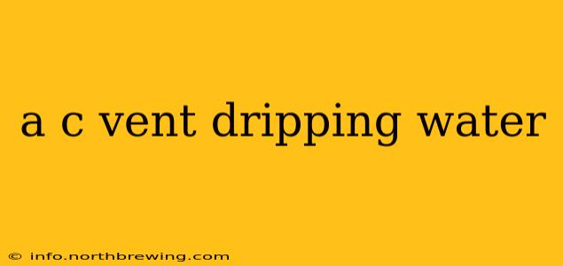 a c vent dripping water