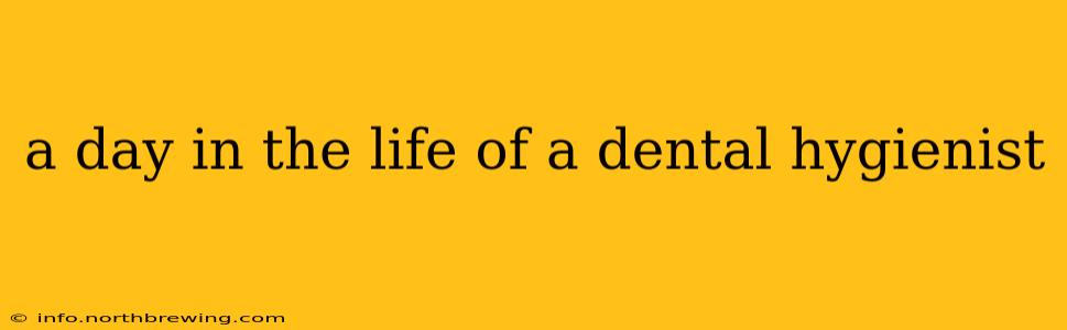 a day in the life of a dental hygienist