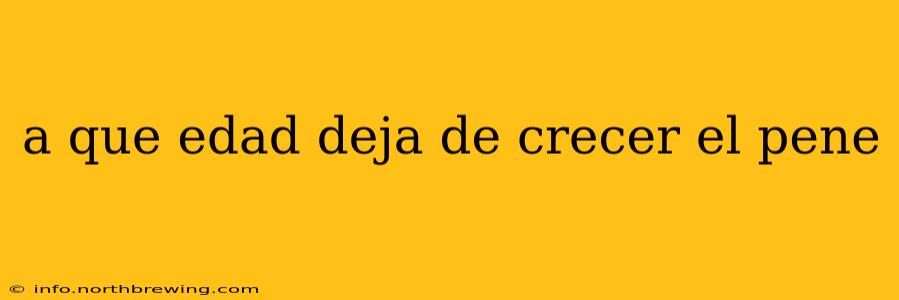 a que edad deja de crecer el pene