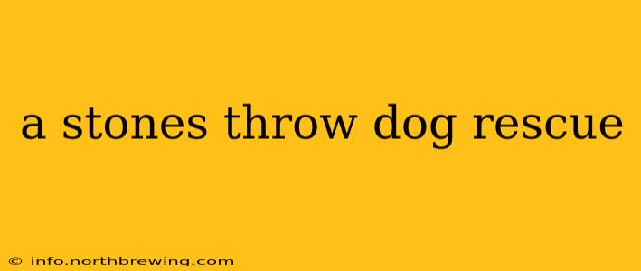 a stones throw dog rescue