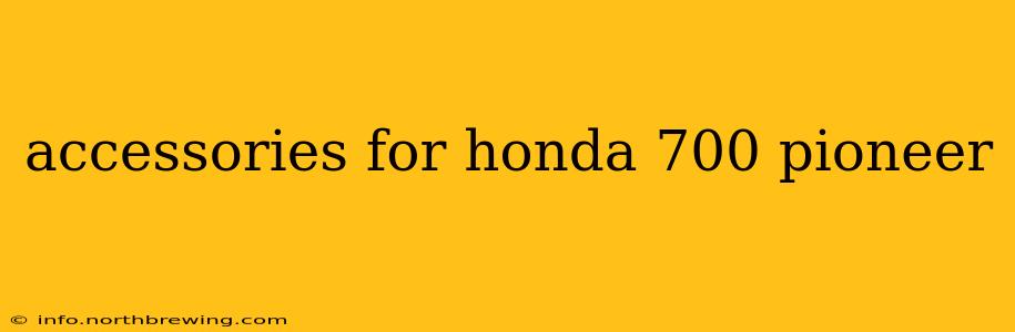 accessories for honda 700 pioneer