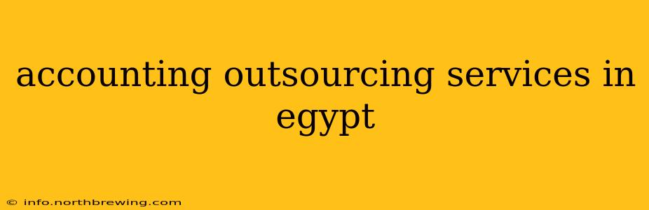 accounting outsourcing services in egypt