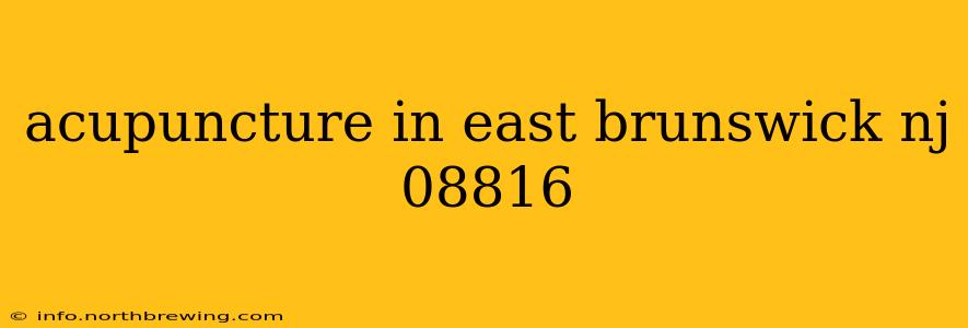 acupuncture in east brunswick nj 08816
