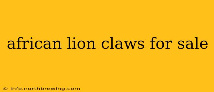 african lion claws for sale