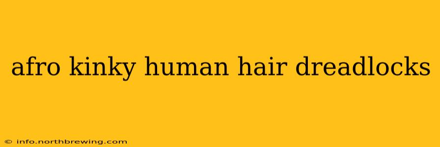 afro kinky human hair dreadlocks
