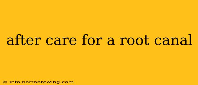 after care for a root canal