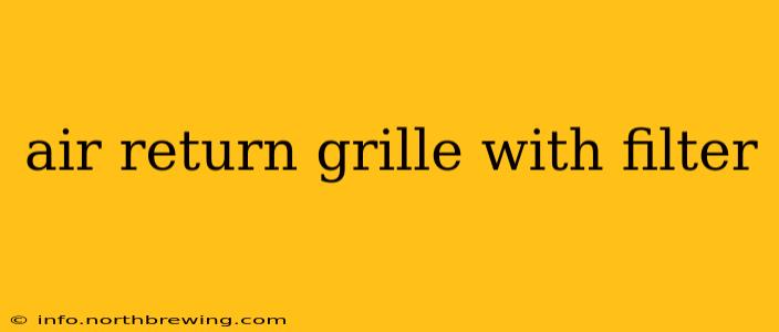 air return grille with filter