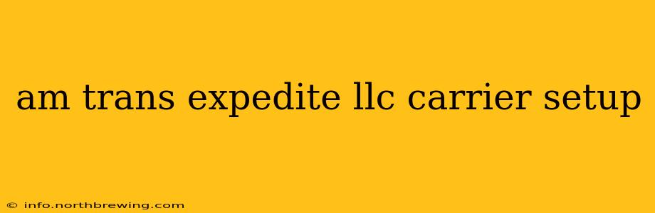 am trans expedite llc carrier setup