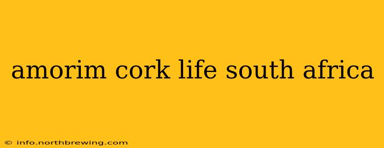 amorim cork life south africa