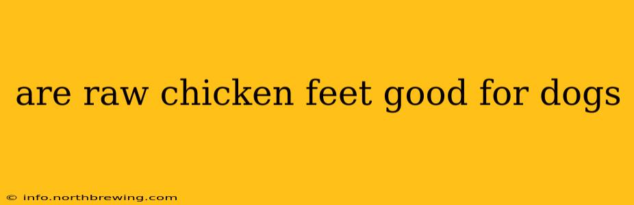 are raw chicken feet good for dogs