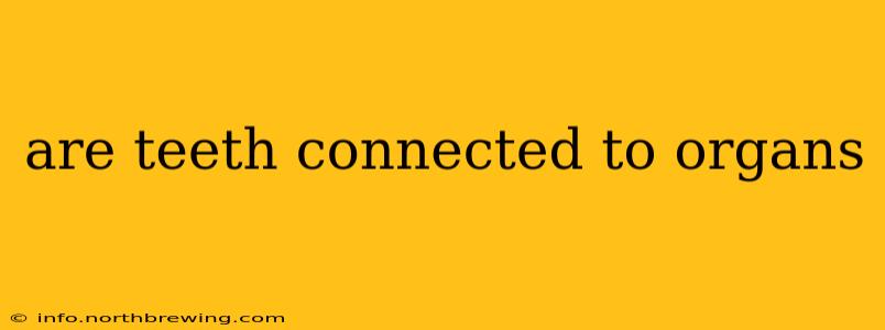 are teeth connected to organs