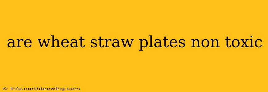 are wheat straw plates non toxic