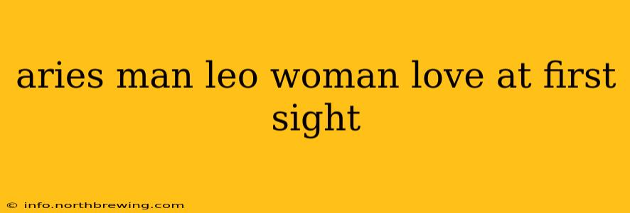 aries man leo woman love at first sight