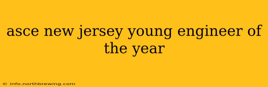 asce new jersey young engineer of the year