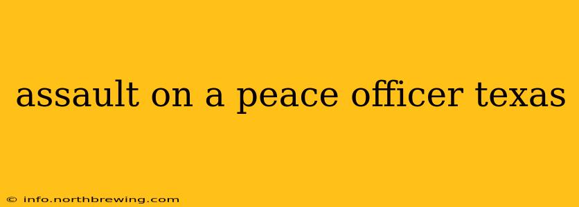 assault on a peace officer texas