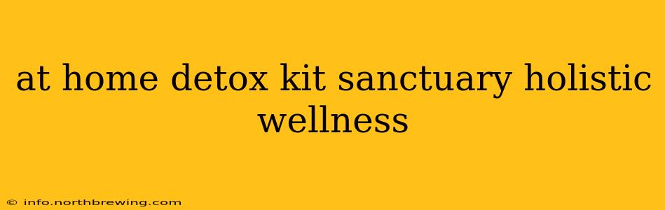 at home detox kit sanctuary holistic wellness