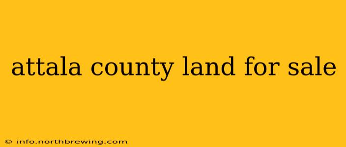 attala county land for sale