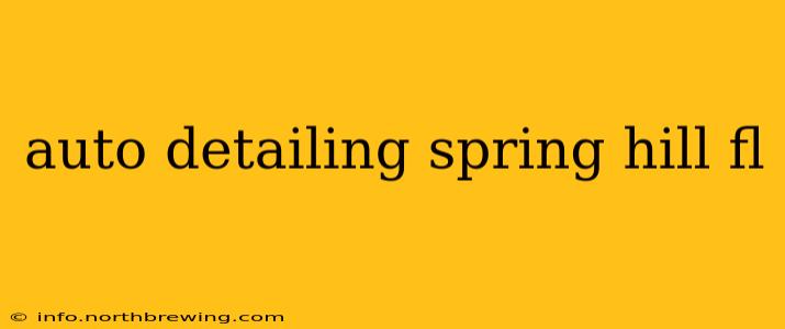 auto detailing spring hill fl