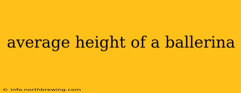average height of a ballerina