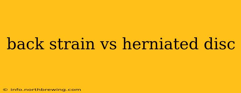 back strain vs herniated disc
