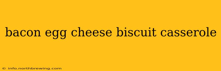 bacon egg cheese biscuit casserole